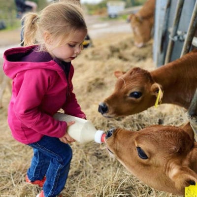 Beleef de boerderij