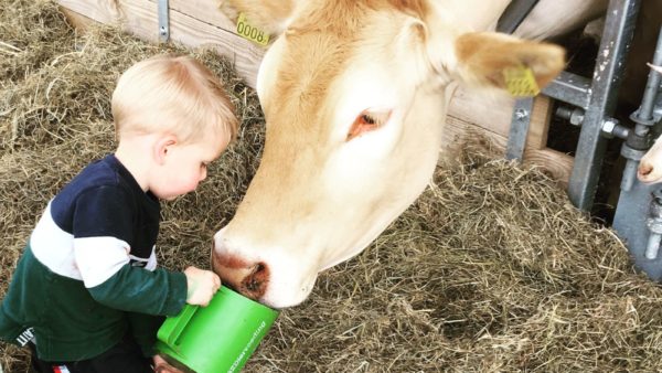 Beleef de boerderij