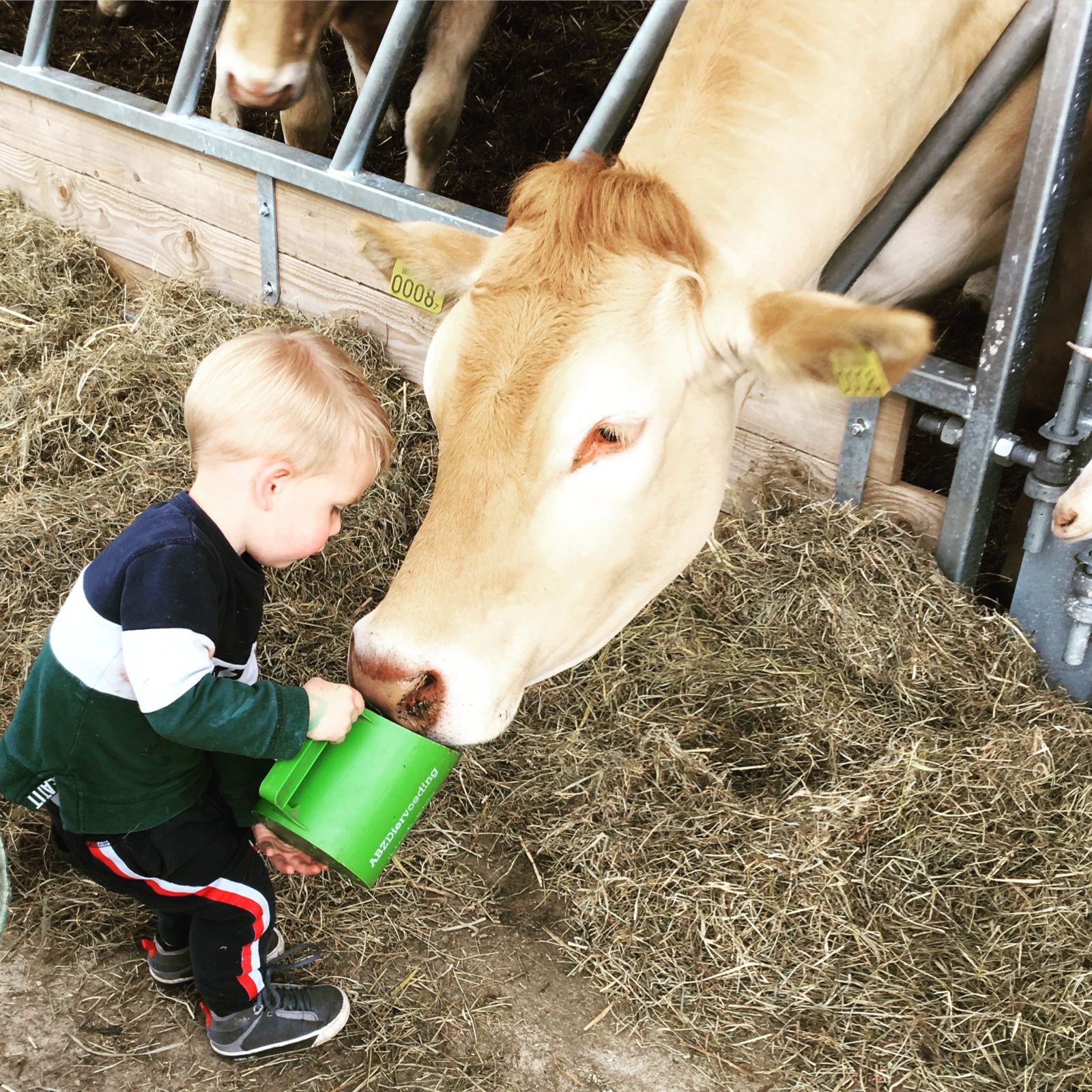 Beleef de boerderij