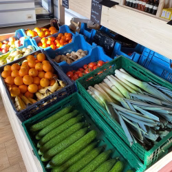 groente en fruit 2