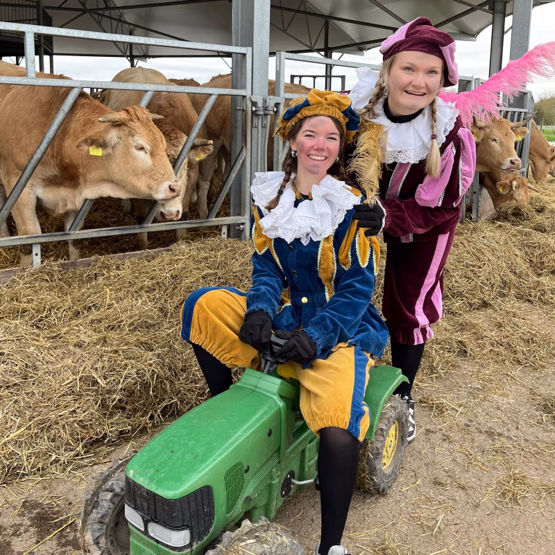 Pieten op de boerderij MenM